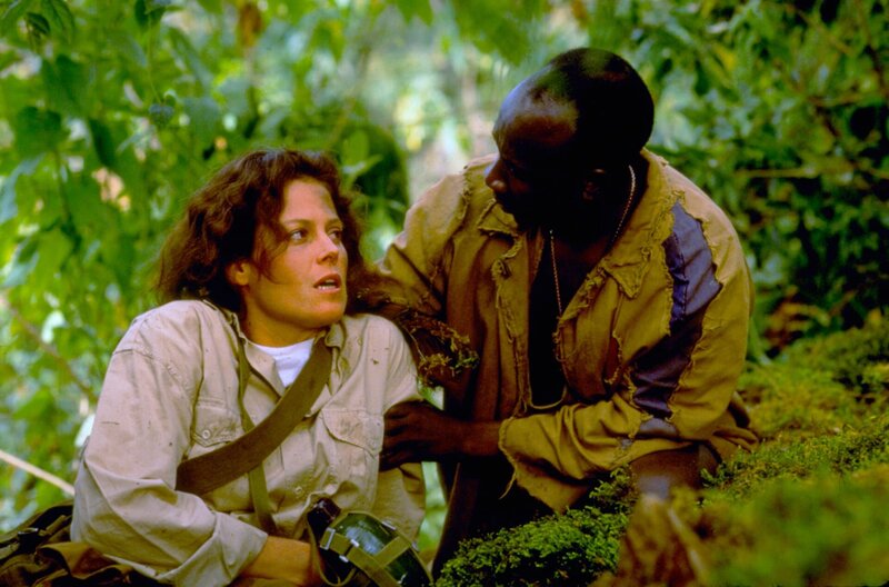 Gorillas im Nebel – Bild: NBC Universal /​ Nachdem Dian Fossey (Sigourney Weaver) und Sembagare (John Omirah Miluwi) nach sechs endlosen Wochen endlich zum ersten Mal auf Gorillas stoßen, werden sie von ihnen angegriffen und müssen sich in Sicherheit bringen.