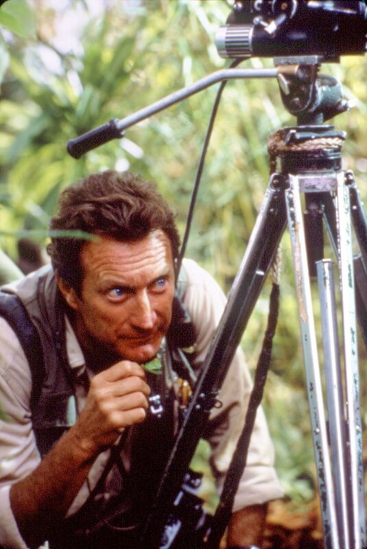 Gorillas im Nebel – Bild: BR