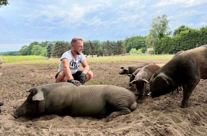Tim (33) streichelt eines seiner Freilandschweinen. – Bild: WDR/​sagamedia