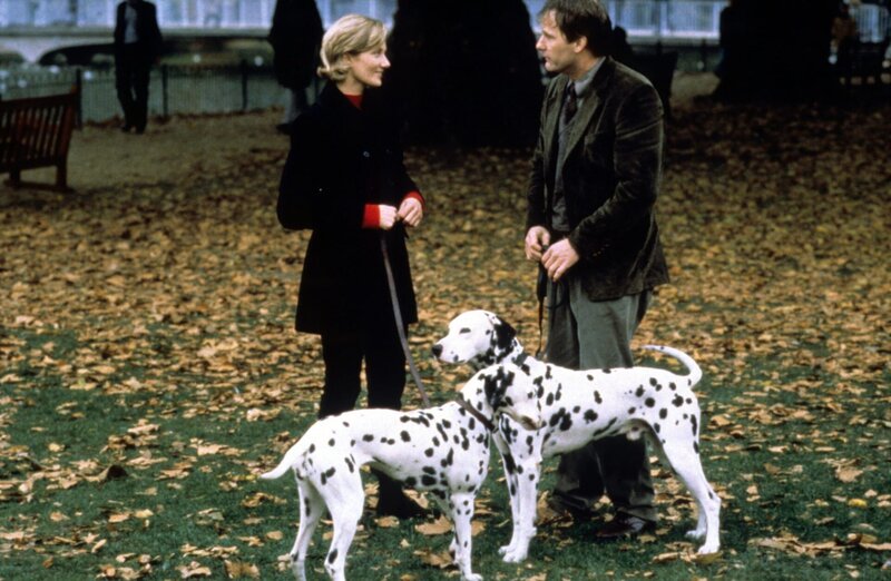 101 Dalmatiner – Bild: Disney © Disney•Pixar © & ™ Lucasfilm LTD © Marvel. Alle Rechte Vorbehalten