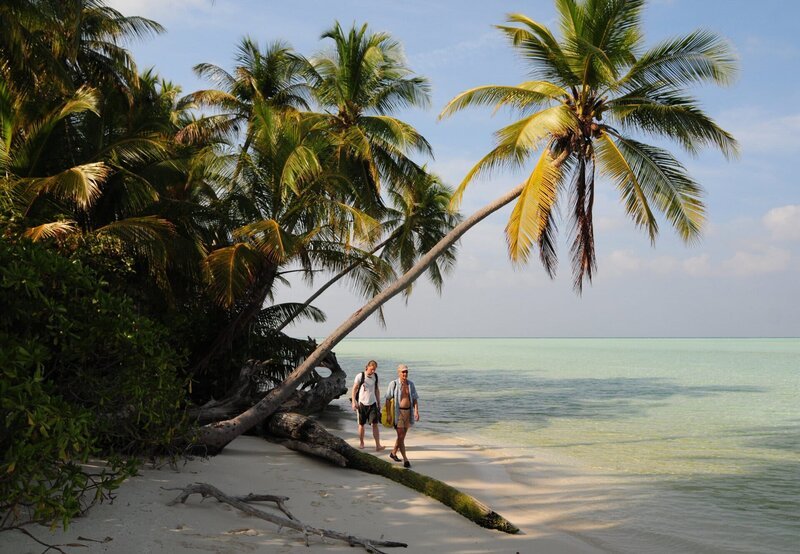 PHOENIX MALEDIVEN, „Paradies vor dem Untergang“, am Dienstag (21.02.12) um 20:15 Uhr. Traumkulisse wie aus der Werbung. Der Strand einer unbewohnten Insel im Süd-Male Atoll. – Bild: PHOENIX/​WDR/​Robert Hofrichter