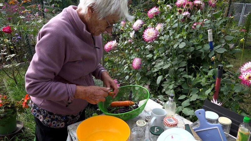 Rentnerin Ingrid ist berühmt für ihre Koch- und Backkünste. Heute soll es Bohneneintopf mit Möhren und Kartoffeln geben. – Bild: RTL Zwei