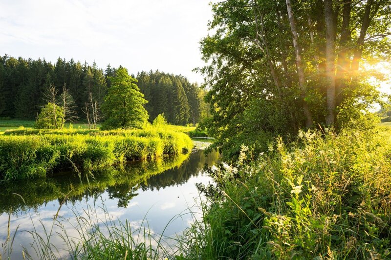 Little River (Schwarze Laber) in Bayern bei romantischem Sonnenlicht – Bild: Shutterstock /​ Shutterstock /​ Copyright (c) 2021 Martin Ehrensberger/​Shutterstock. No use without permission.