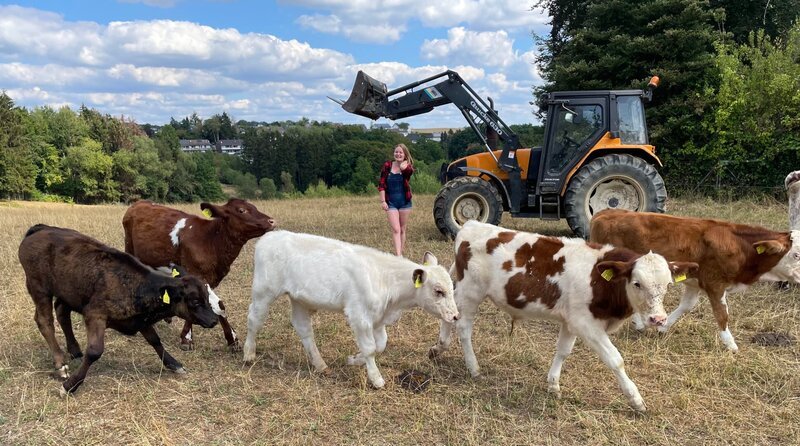 Anna (22) züchtet seltene Shorthorn-Rinder im Bergischen Land. Sie ist damit gerade die Einzige in Nordrheinwestfalen, die die Tiere offiziell züchtet. – Bild: WDR/​Sagamedia Film- Fernsehproduktion GmbH