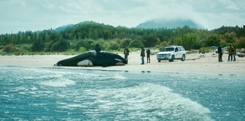 In Vancouver liegt ein toter Orca am Strand. Wahlforscher Leon Anawak (Joshua Odjick, vorne, r.) und O’Bannon (Dutch Johnson, vorne, l.) sind auf dem Weg zum ihm. – Bild: ORF/​ZDF/​Schwarm TV Production GmbH & Co.