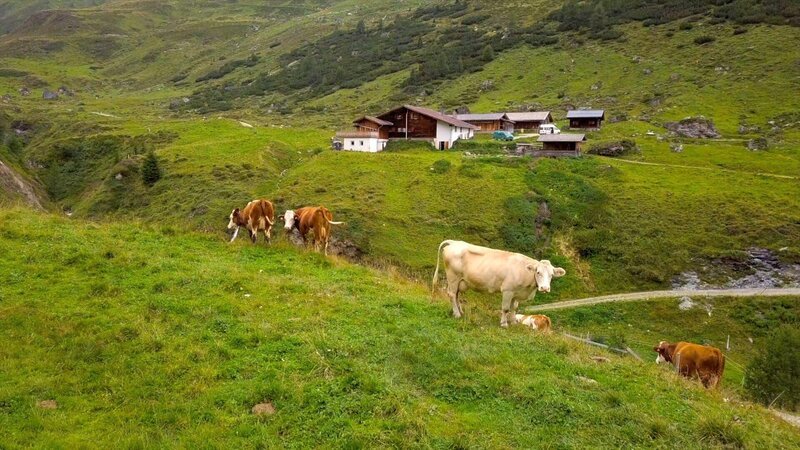 Junsbergalm, Tux-Finkenberg, Tirol. – Bild: ORF/​ORF III/​splash productions