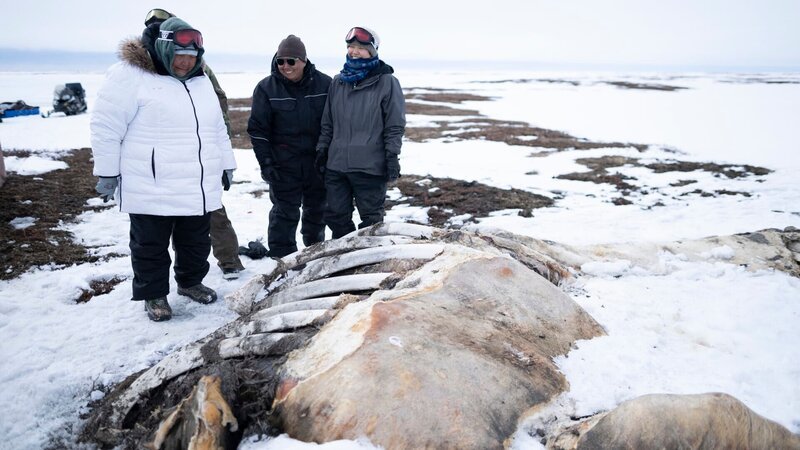 Die Familie Pingayak findet einen angespülten Wal am gefrorenen Strand. (National Geographic/​Matt Kynoch) – Bild: National Geographic /​ Matt Kynoch /​ National Geographic/​Matt Kynoch