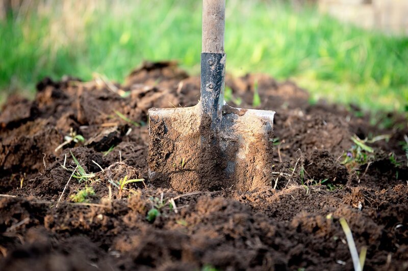 Old dirty shovel stuck in the ground on the garden bed. – Bild: Shutterstock /​ Shutterstock /​ Copyright (c) 2020 Georgy Dzyura/​Shutterstock. No use without permission.