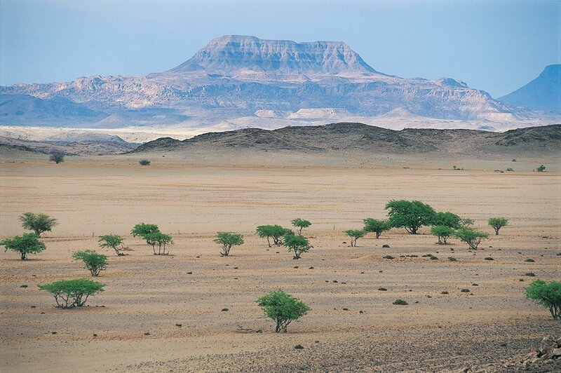 Damaraland, Namibia – Bild: DISCOVERY CHANNEL