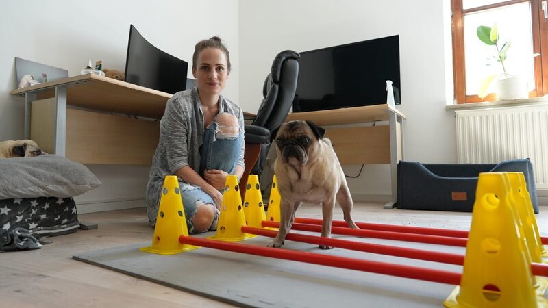 Training für ein schmerzfreieres Leben: Daniela Raila hat sich bei der Physiotherapie einige Übungen für ihren Mops abgeschaut. – Bild: Curiosity TV