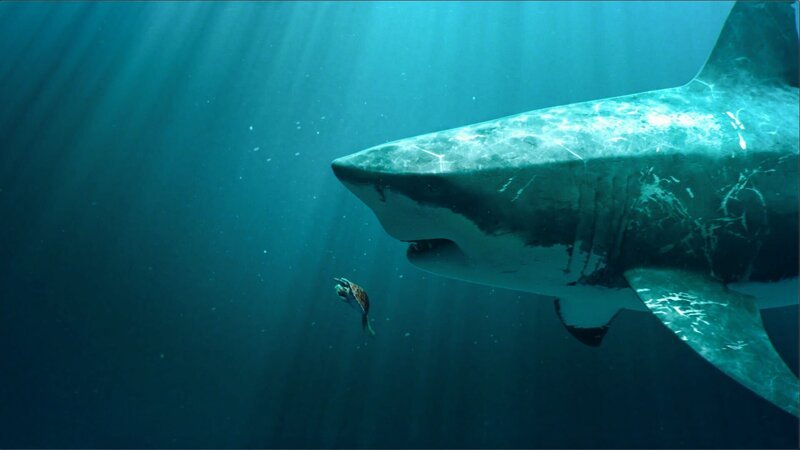 Shark, 3D image – Bild: CuriosityStream-Inc