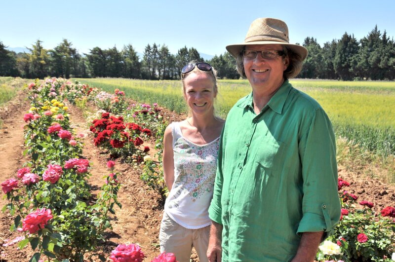 Rose - Königin der Blumen – Bild: 3sat