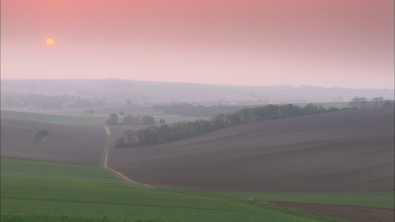 Weinviertel - Weites Land – Bild: ZDF und ORF/​AV Dokumenta