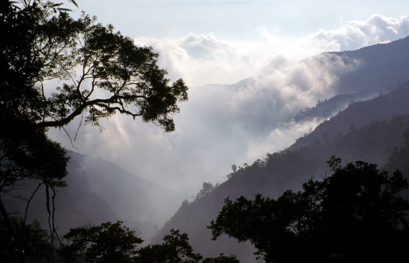 Grüne Insel im Taifun - Taiwan – Bild: 3sat