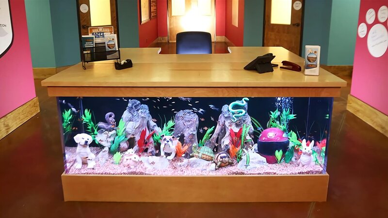 The Rescue Ranch Tank. – Bild: Discovery Communications