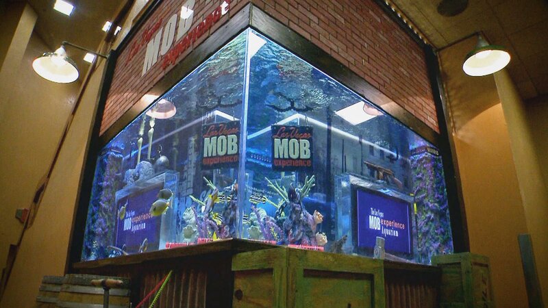 Aquarium – Bild: Warner Bros. Discovery