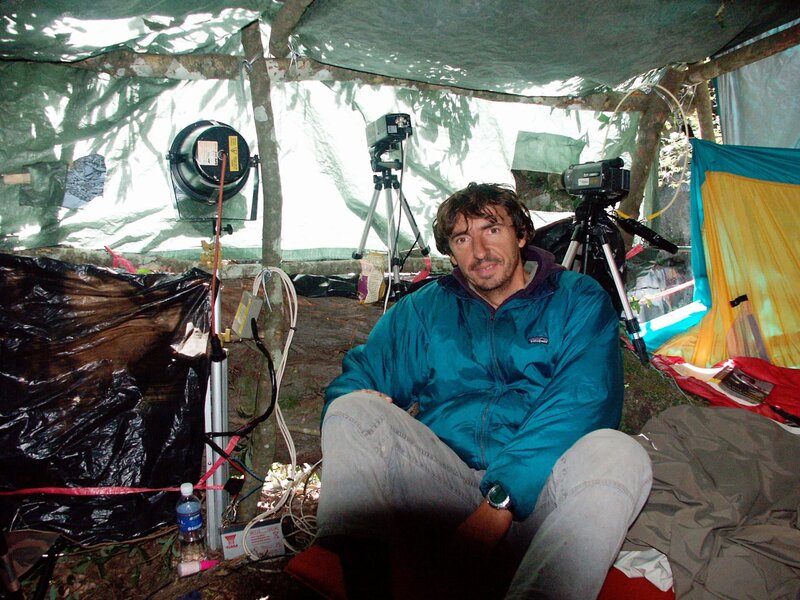 Grüne Insel im Taifun - Taiwan – Bild: ORF/​ScienceVi