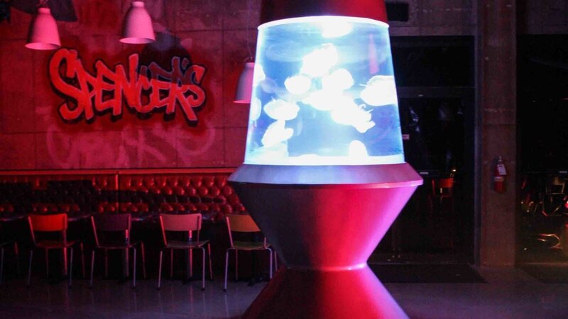 Lava Lamp tank. – Bild: Animal Planet /​ 32956_Ep409_006 – Photobank. /​ Discovery Communications