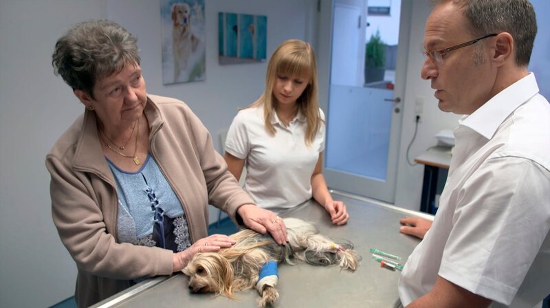 Dr. Tobias Neuberger berät die Hundebesitzerin Betty Birkenbeul vor der Operation ihrer Yorkshire Terrier Hündin. – Bild: NDR/​Doclights GmbH 2019