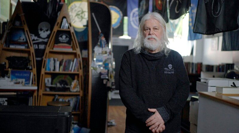 Von der Ökobewegung zum Konzern: 50 Jahre Greenpeace – Bild: NDR/​Vincent Productions