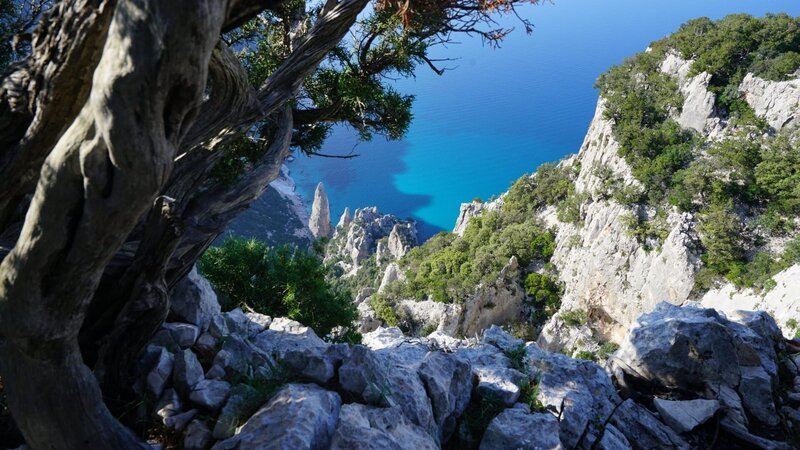 Die wunderschöne Küste Sardiniens. – Bild: ORF/pre tv Die wunderschöne Küste Sardiniens. – Bild: ORF/pre tv
