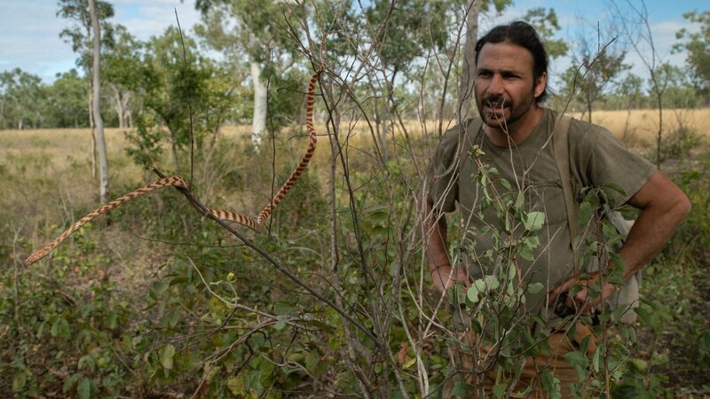 Hazen Audel finds a red tree snake in the Australian outback. – Bild: Correll Johnson /​ National Geographic