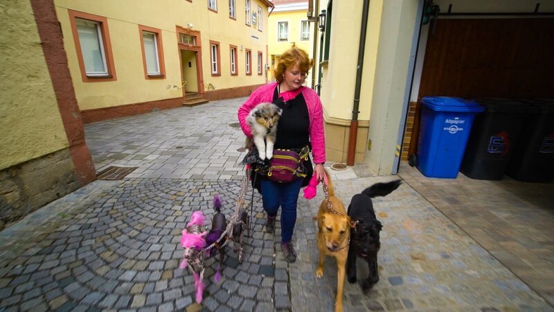 Lisa-Marie Tomenendal aus Mellrichstadt mit fünf Hunden und Neuzugang Colli-Welpe „Einstein“. – Bild: TVNOW /​ RTL Studios