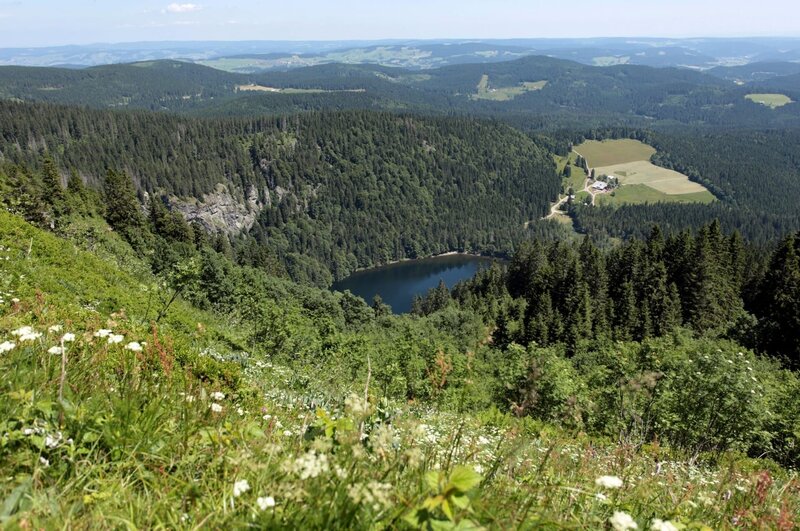 Der Schwarzwald - Wildnis mit Aussicht – Bild: PLURIMEDIA (SWR /​ NDR /​ Klaus Weißmann)