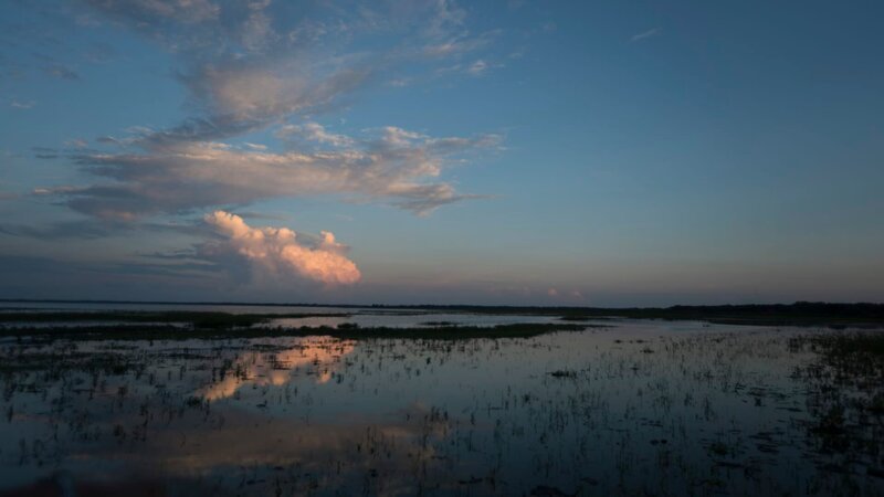 Sunset over the Everglades. – Bild: Discovery Communications