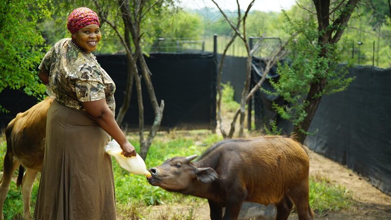 Raising Wildlife: Aufzucht in der Wildnis – Bild: Spiegel TV Wissen