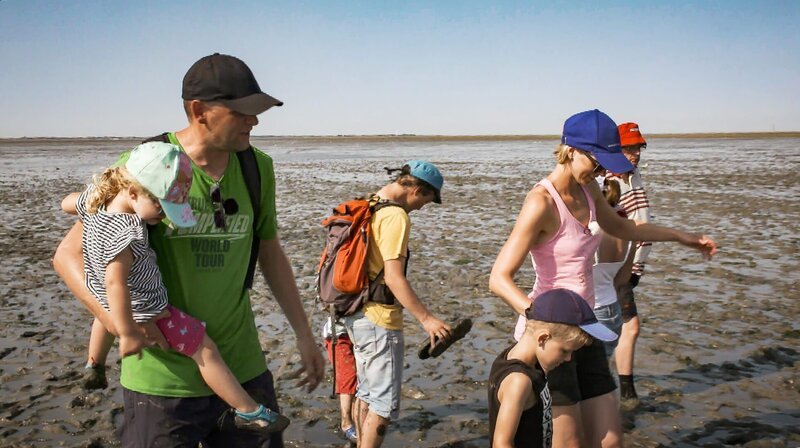 Ein Wurm zum Anfassen. An der Nordsee sind Christian und Andrea mit ihren drei Kindern bei Ebbe im Watt unterwegs. Auf der Suche nach Wattwürmern. Doch die kleine Julia ist von dem glitschigen Schlick gar nicht begeistert. Also muss sich die Familie trennen. – Bild: MDR/​timeline