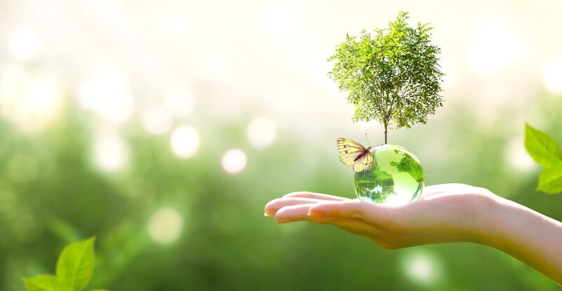 Earth crystal glass globe ball and growing tree in human hand, flying yellow butterfly on green sunny background. Saving environment, save clean planet, ecology concept. Card for World Earth Day. – Bild: shutterstock