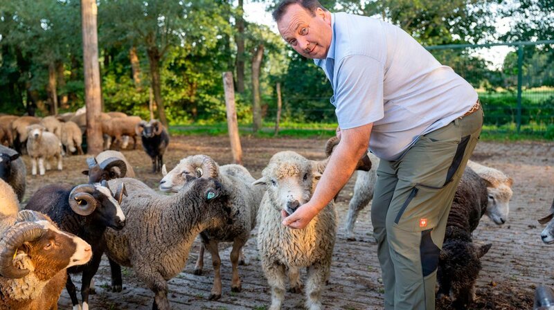 Ludger Bremehr mit einigen seiner unterschiedlichen Schafen. – Bild: NDR/​WDR/​Melanie Grande