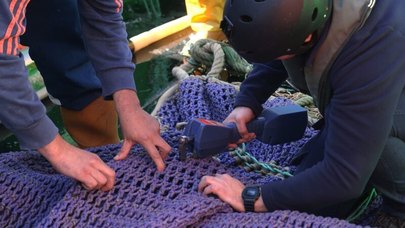 Fischereiinspektoren prüfen die Rechtmäßigkeit eines Fischernetzes. (National Geographic für Disney) – Bild: National Geographic for Disney /​ Disney