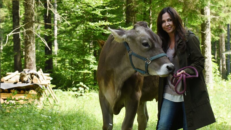 Katja Baumann (Simone Thomalla) ist froh, die Kuh wieder eingefangen zu haben, die ihr vorher entlaufen war. – Bild: ZDF und Barbara Bauriedl./​Barbara Bauriedl