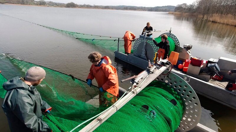 Die Zugnetzfischerei gehört zu den ältesten Fischereimethoden. Mit zwei Booten werden die Netze durchs Wasser gezogen und die Fische quasi eingekreist. – Bild: NDR/​produktion clipart