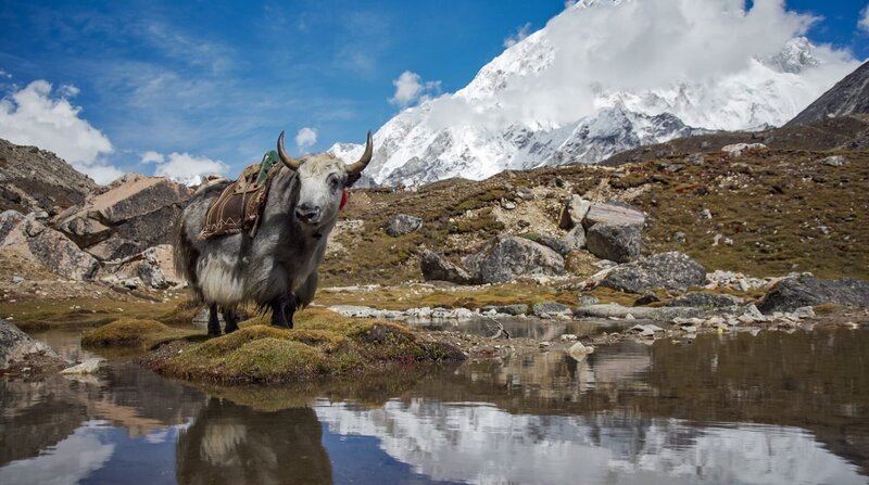 Nepal – ein Traumziel für Trekkingbegeisterte. – Bild: ZDF und WDR.