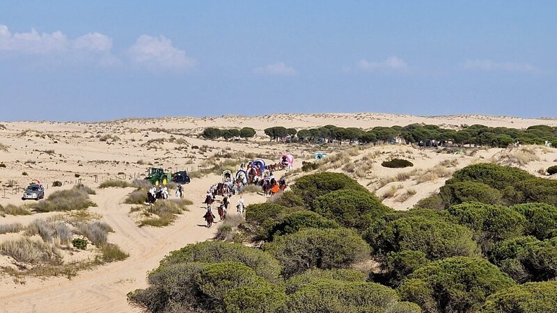 Auf Pferden und in geschmückten Kutschen machen sich die Pilger auf den Weg durch den Nationalpark Coto de Doñana zum Wallfahrtsort El Rocío. Einmal im Jahr, zu Pfingsten, versammeln sich bis zu 800.000 Pilger am andalusischen Pilgerort, um einer Marienstatue zu huldigen. – Bild: ORF/​The Big Story Film /​ Marcel Mettelsiefen