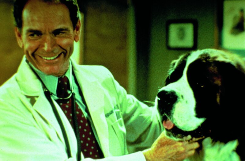 Ein Hund namens Beethoven – Bild: Kabel Eins