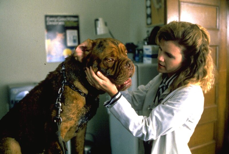 Scott und Huutsch: Eine Dogge zum Knutschen – Bild: Disney, Pixar, Lucasfilm LTD, Marvel