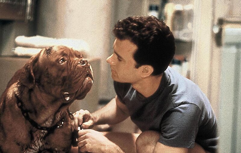 Scott und Huutsch: Eine Dogge zum Knutschen – Bild: Disney Channel