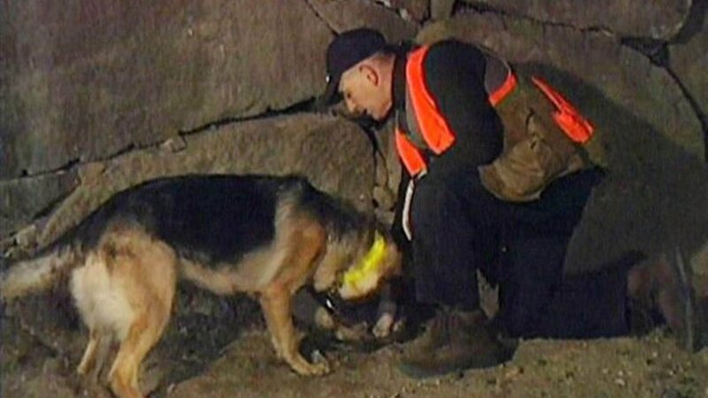 Im Keller von William Pearl schlägt ein Leichenspürhund an. Doch die Ermittler finden keine Leiche! – Bild: RTL