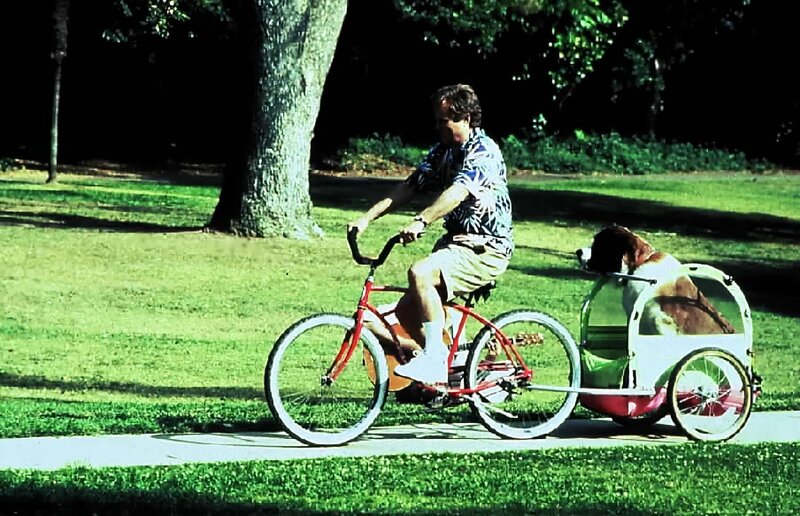 Ein Hund namens Beethoven – Bild: Kabel Eins