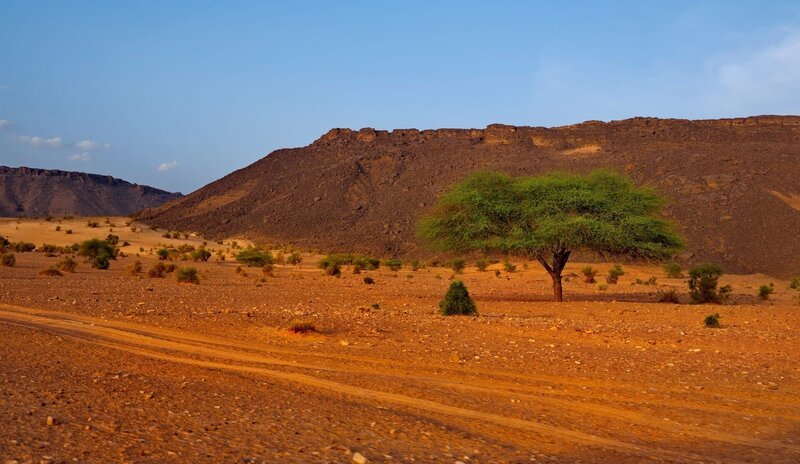 Westafrika. Mauretanien. Das Tal eines ausgetrockneten Flusses liegt in der Nähe der berühmten Terzhit-Oase, eingebettet in den Sand der Sahara-Wüste. – Bild: Shutterstock /​ Shutterstock /​ Copyright (c) 2023 kaikups/​Shutterstock. No use without permission.