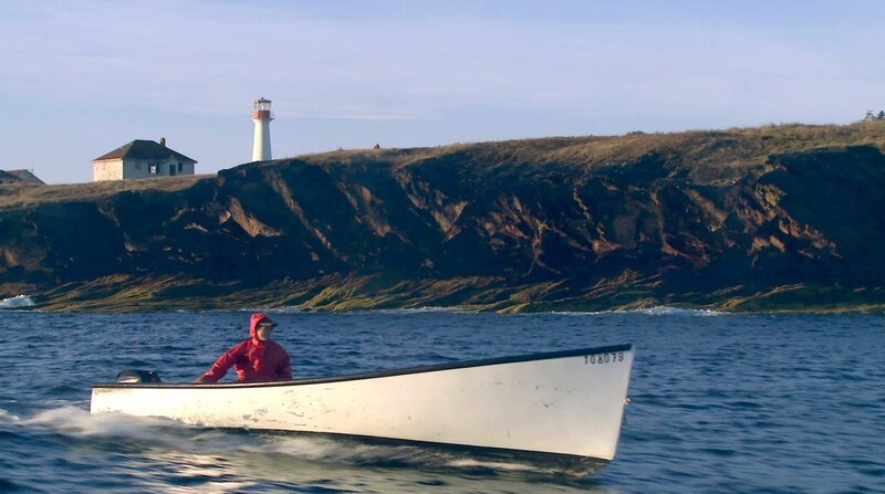 Vor der kargen und malerischen Küste Nova Scotias sucht Ollie Cote nach „Irish Moss“, Seegras. – Bild: ZDF und NDR/​Tell Tale Productions.