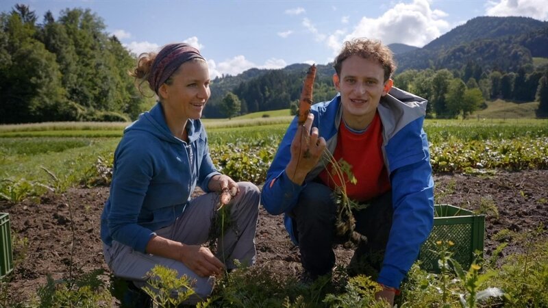 Julian und Gärtnerin Claudia bei der Karottenernte. – Bild: BR/​megaherz gmbh/​Pius Neumaier