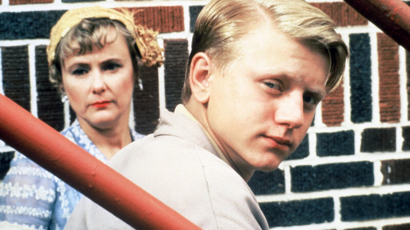 Shimmer – Bild: Silverline