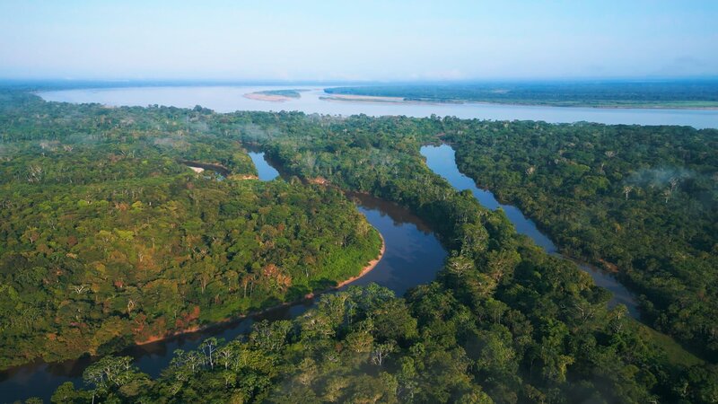 Amazonien: Expedition in den Regenwald – Bild: Rasmus Sievers