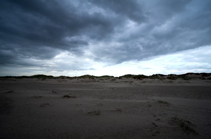 Ein Sandsturm zieht auf. – Bild: NDR/​Doclights GmbH/​Flying Pangolin Film/​Michael Riegler