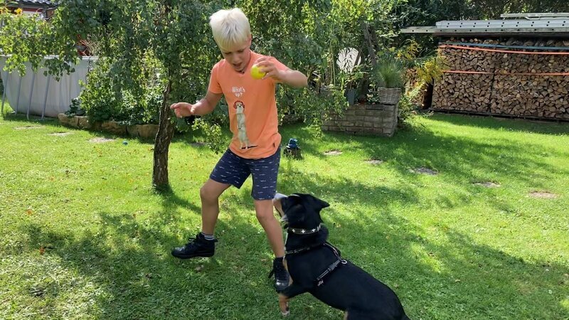 Bruno spielt mit seinem Hund Knicki im Garten. – Bild: MDR/​STARSHIP FILM GmbH